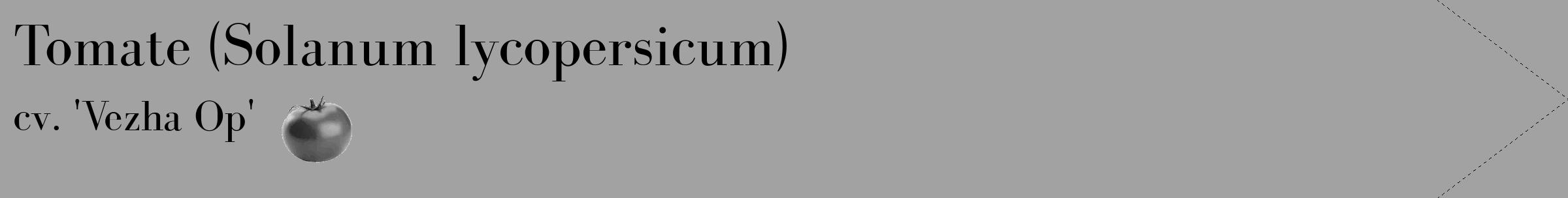 Étiquette de : Solanum lycopersicum cv. 'Vezha Op' - format c - style noire38_simple_simplebod avec comestibilité simplifiée