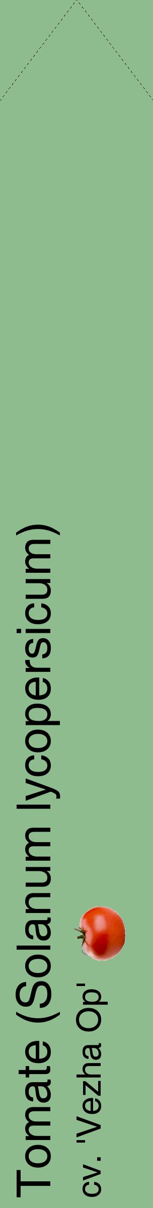 Étiquette de : Solanum lycopersicum cv. 'Vezha Op' - format c - style noire13_simplehel avec comestibilité simplifiée