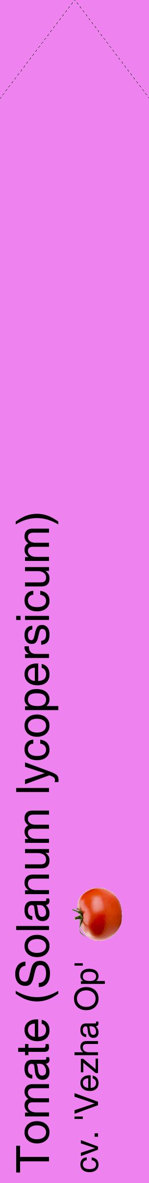 Étiquette de : Solanum lycopersicum cv. 'Vezha Op' - format c - style noire53_simplehel avec comestibilité simplifiée