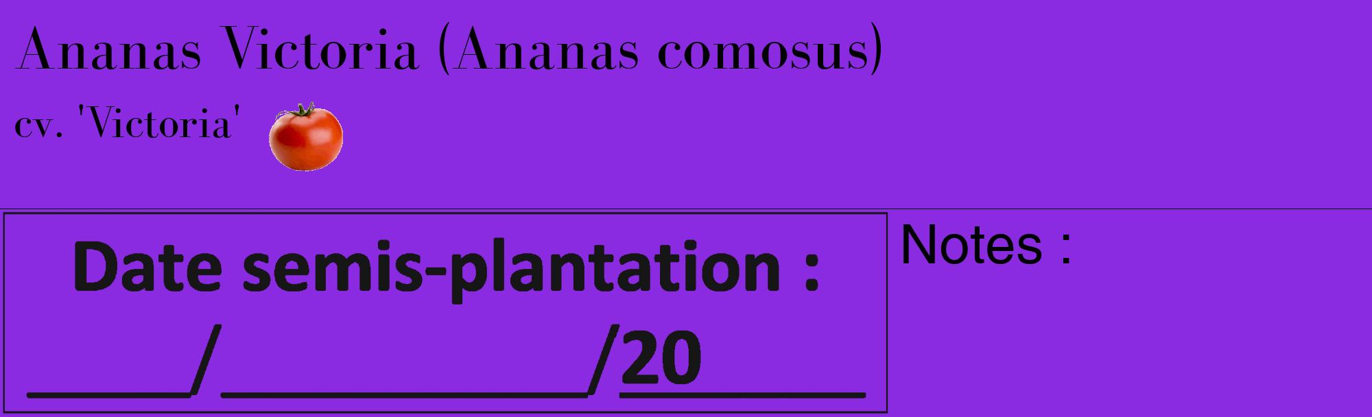 Étiquette de : Ananas comosus cv. 'Victoria' - format c - style noire49_basique_basiquebod avec comestibilité simplifiée
