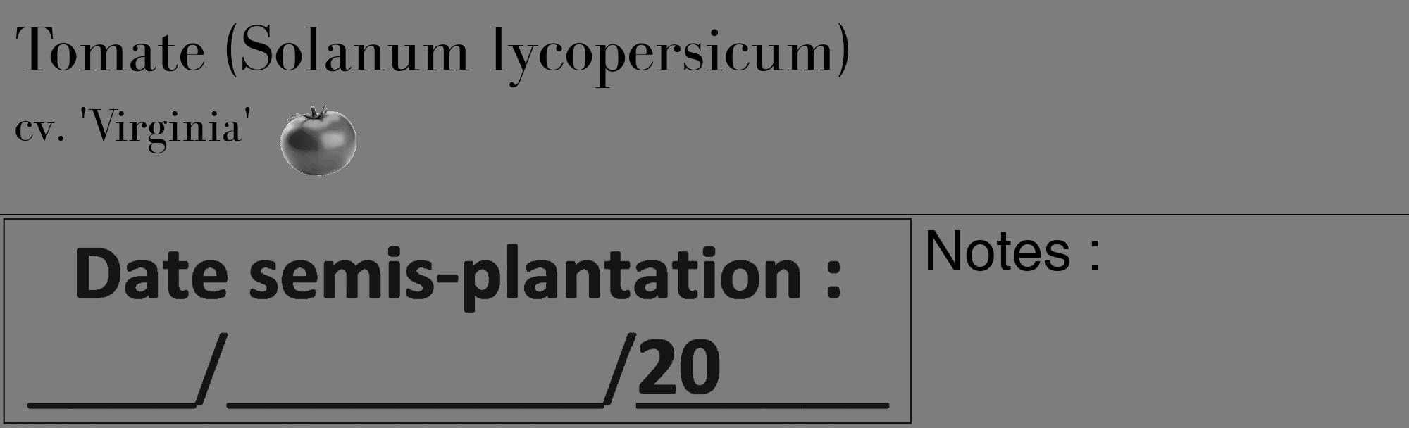Étiquette de : Solanum lycopersicum cv. 'Virginia' - format c - style noire35_basique_basiquebod avec comestibilité simplifiée