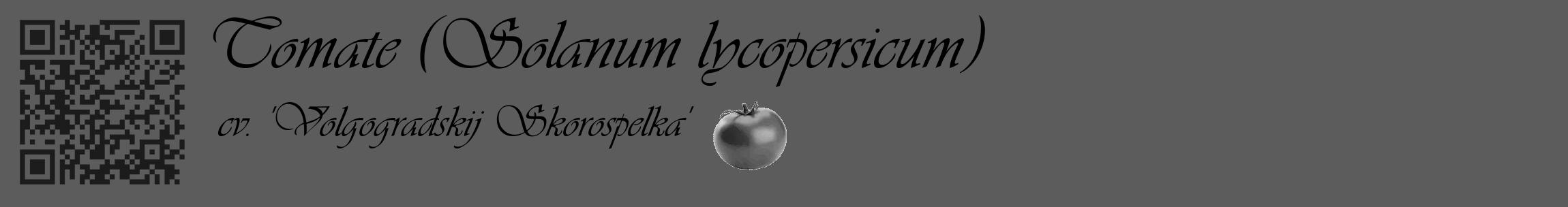 Étiquette de : Solanum lycopersicum cv. 'Volgogradskij Skorospelka' - format c - style noire49_basique_basiqueviv avec qrcode et comestibilité simplifiée