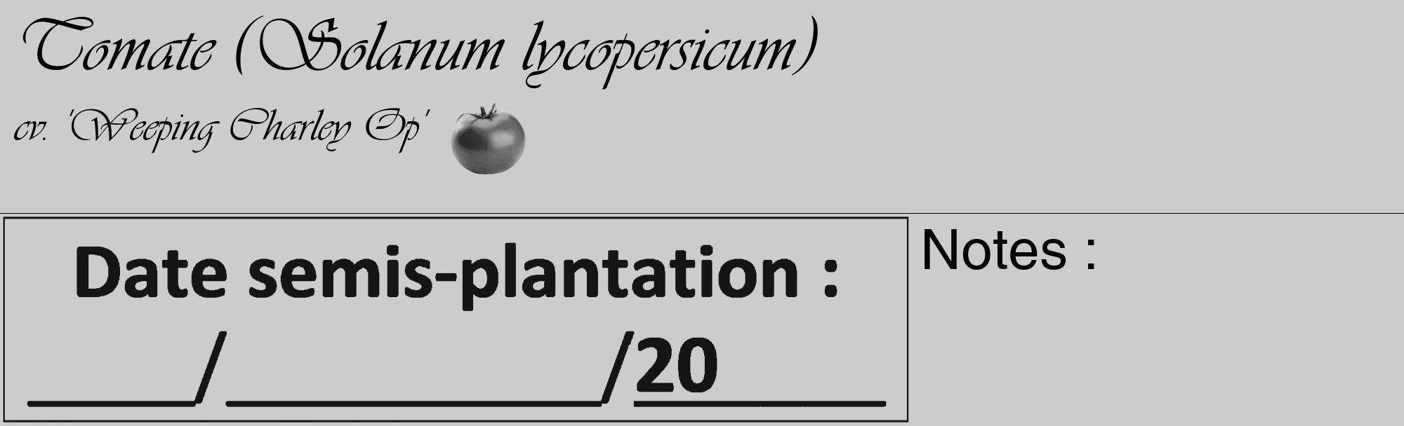 Étiquette de : Solanum lycopersicum cv. 'Weeping Charley Op' - format c - style noire0_basique_basiqueviv avec comestibilité simplifiée