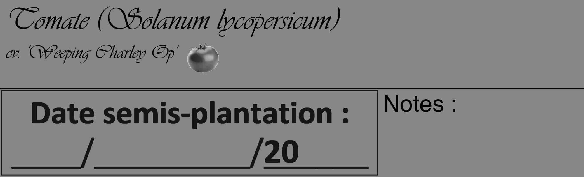 Étiquette de : Solanum lycopersicum cv. 'Weeping Charley Op' - format c - style noire12_basique_basiqueviv avec comestibilité simplifiée