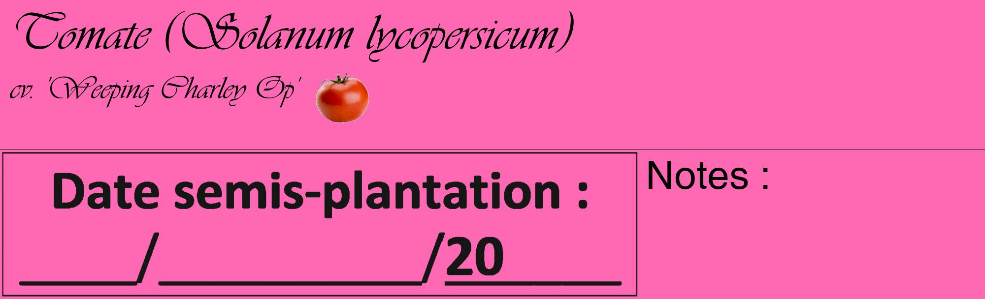 Étiquette de : Solanum lycopersicum cv. 'Weeping Charley Op' - format c - style noire42_basique_basiqueviv avec comestibilité simplifiée