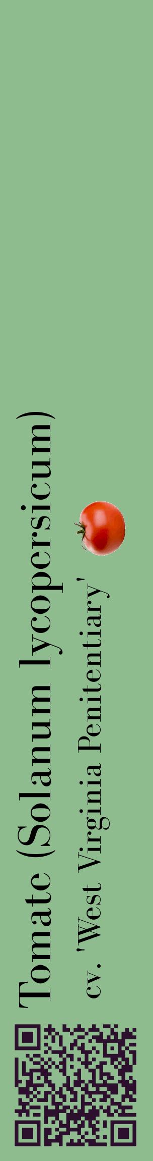 Étiquette de : Solanum lycopersicum cv. 'West Virginia Penitentiary' - format c - style noire13_basiquebod avec qrcode et comestibilité simplifiée