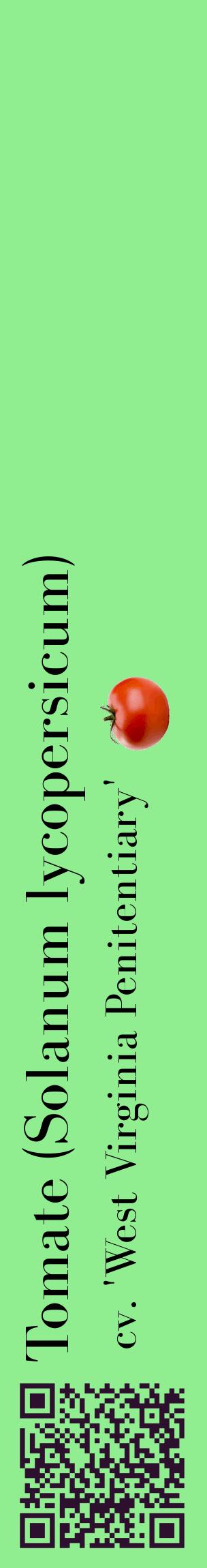 Étiquette de : Solanum lycopersicum cv. 'West Virginia Penitentiary' - format c - style noire15_basiquebod avec qrcode et comestibilité simplifiée