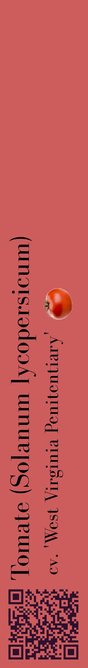 Étiquette de : Solanum lycopersicum cv. 'West Virginia Penitentiary' - format c - style noire35_basiquebod avec qrcode et comestibilité simplifiée