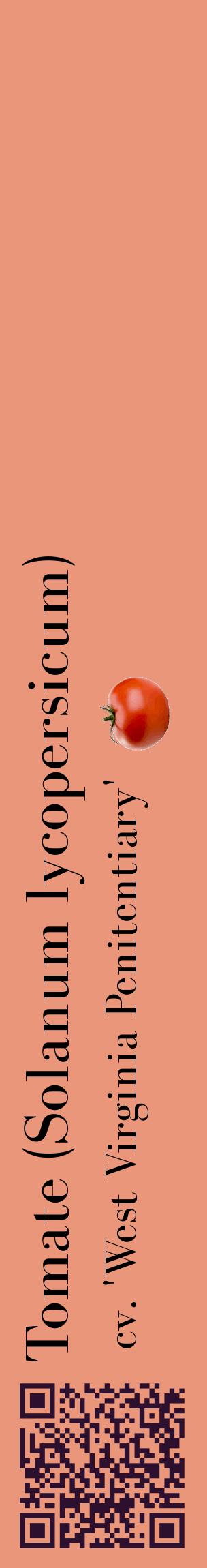 Étiquette de : Solanum lycopersicum cv. 'West Virginia Penitentiary' - format c - style noire37_basiquebod avec qrcode et comestibilité simplifiée