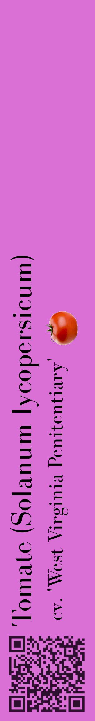 Étiquette de : Solanum lycopersicum cv. 'West Virginia Penitentiary' - format c - style noire52_basiquebod avec qrcode et comestibilité simplifiée
