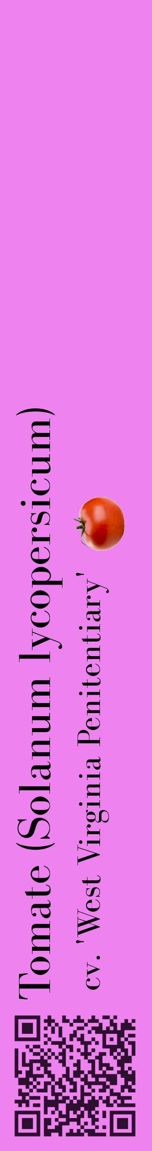 Étiquette de : Solanum lycopersicum cv. 'West Virginia Penitentiary' - format c - style noire53_basiquebod avec qrcode et comestibilité simplifiée