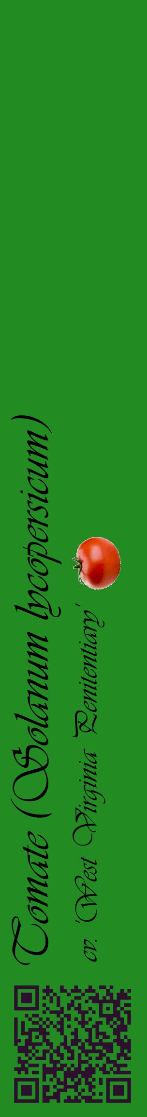 Étiquette de : Solanum lycopersicum cv. 'West Virginia Penitentiary' - format c - style noire10_basiqueviv avec qrcode et comestibilité simplifiée