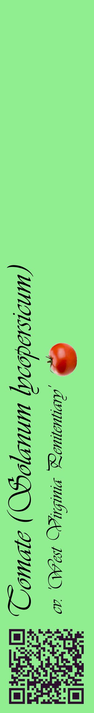Étiquette de : Solanum lycopersicum cv. 'West Virginia Penitentiary' - format c - style noire15_basiqueviv avec qrcode et comestibilité simplifiée