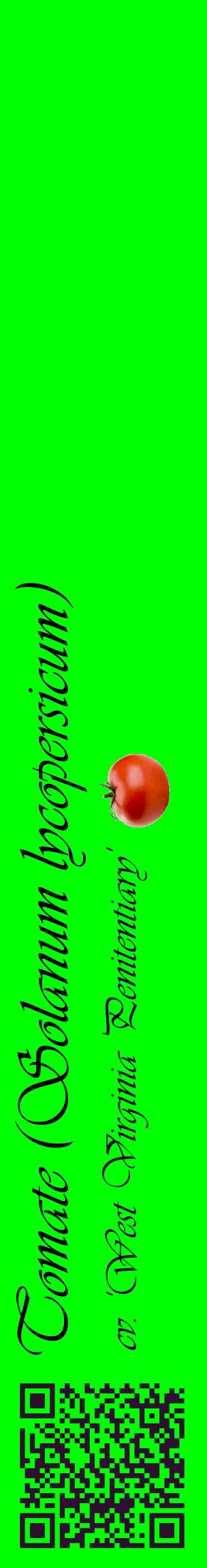 Étiquette de : Solanum lycopersicum cv. 'West Virginia Penitentiary' - format c - style noire16_basiqueviv avec qrcode et comestibilité simplifiée