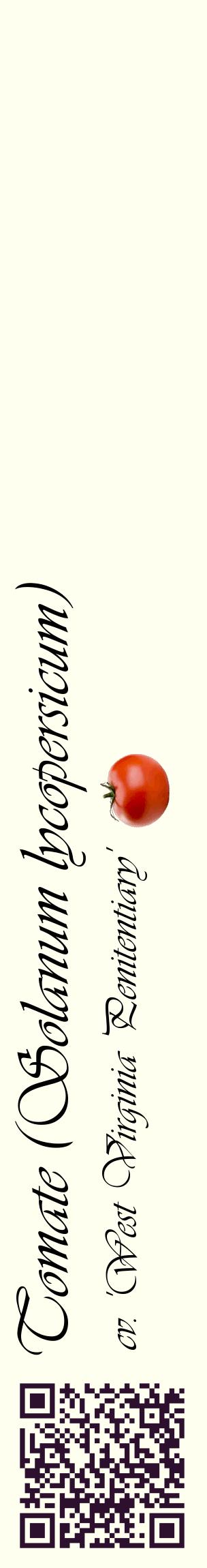 Étiquette de : Solanum lycopersicum cv. 'West Virginia Penitentiary' - format c - style noire19_basiqueviv avec qrcode et comestibilité simplifiée