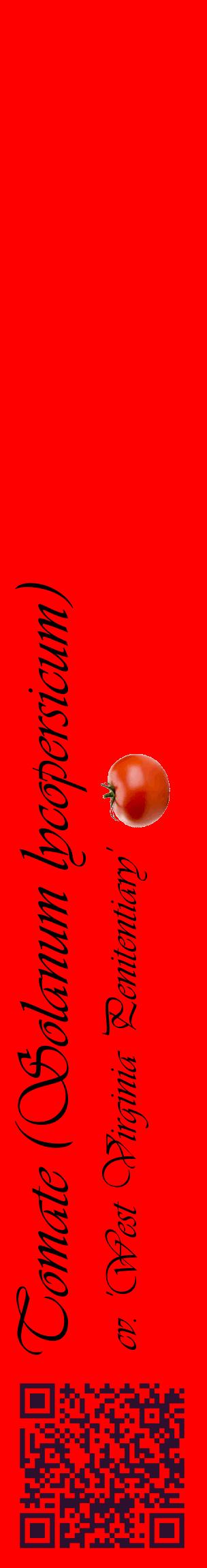 Étiquette de : Solanum lycopersicum cv. 'West Virginia Penitentiary' - format c - style noire27_basiqueviv avec qrcode et comestibilité simplifiée