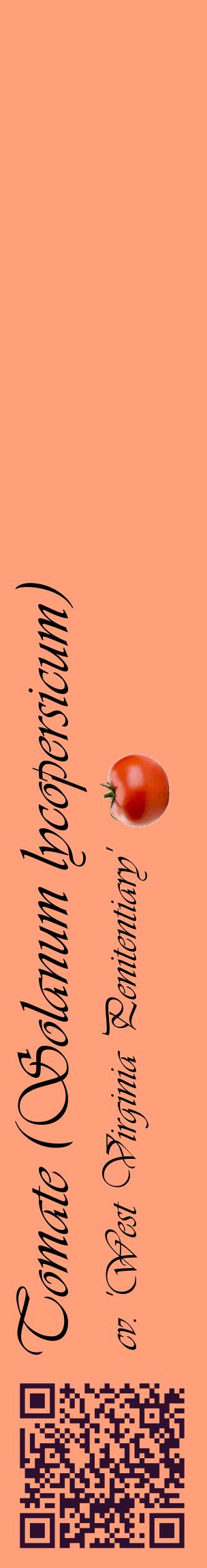 Étiquette de : Solanum lycopersicum cv. 'West Virginia Penitentiary' - format c - style noire39_basiqueviv avec qrcode et comestibilité simplifiée