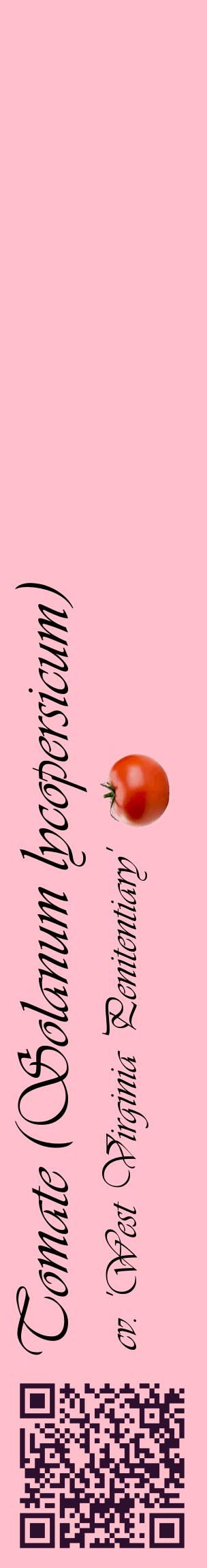 Étiquette de : Solanum lycopersicum cv. 'West Virginia Penitentiary' - format c - style noire40_basiqueviv avec qrcode et comestibilité simplifiée