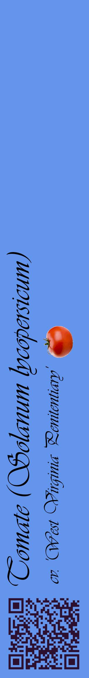 Étiquette de : Solanum lycopersicum cv. 'West Virginia Penitentiary' - format c - style noire4_basiqueviv avec qrcode et comestibilité simplifiée