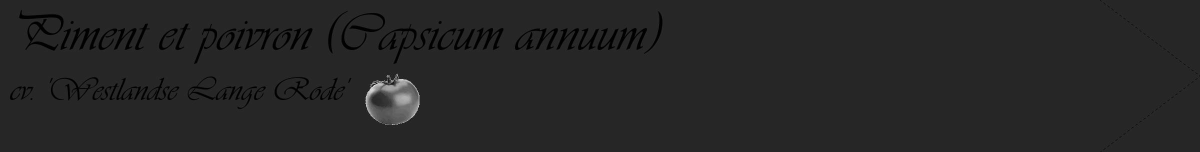 Étiquette de : Capsicum annuum cv. 'Westlandse Lange Rode' - format c - style noire29_simple_simpleviv avec comestibilité simplifiée