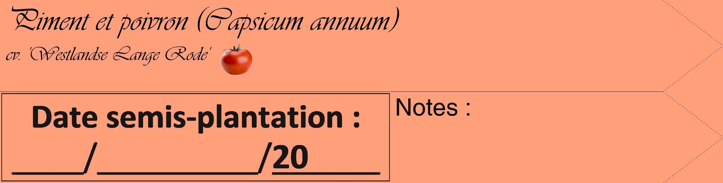 Étiquette de : Capsicum annuum cv. 'Westlandse Lange Rode' - format c - style noire39_simple_simpleviv avec comestibilité simplifiée