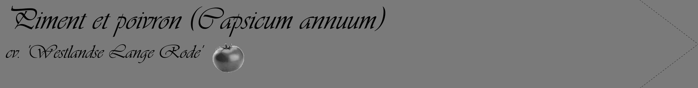 Étiquette de : Capsicum annuum cv. 'Westlandse Lange Rode' - format c - style noire3_simple_simpleviv avec comestibilité simplifiée