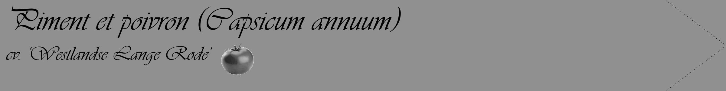 Étiquette de : Capsicum annuum cv. 'Westlandse Lange Rode' - format c - style noire4_simple_simpleviv avec comestibilité simplifiée
