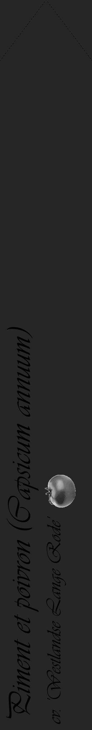 Étiquette de : Capsicum annuum cv. 'Westlandse Lange Rode' - format c - style noire29_simple_simpleviv avec comestibilité simplifiée - position verticale