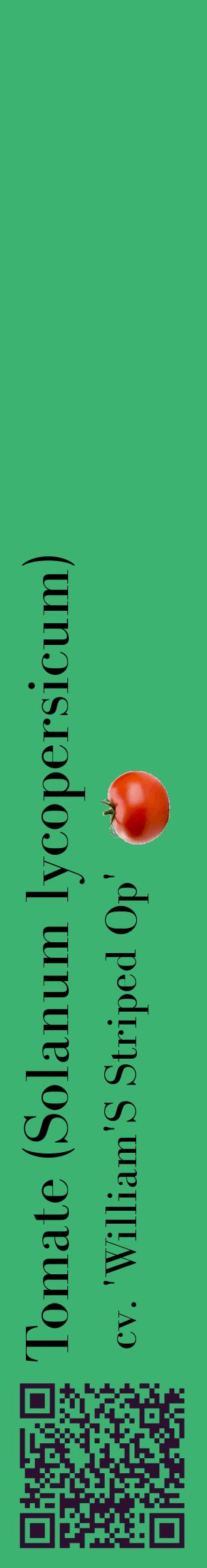 Étiquette de : Solanum lycopersicum cv. 'William'S Striped Op' - format c - style noire12_basiquebod avec qrcode et comestibilité simplifiée