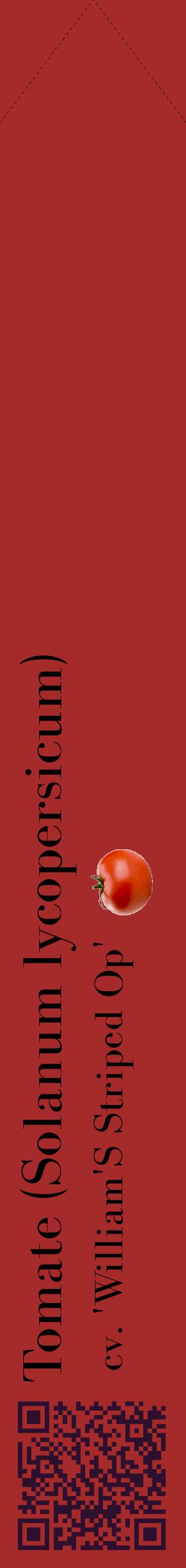 Étiquette de : Solanum lycopersicum cv. 'William'S Striped Op' - format c - style noire33_simplebod avec qrcode et comestibilité simplifiée