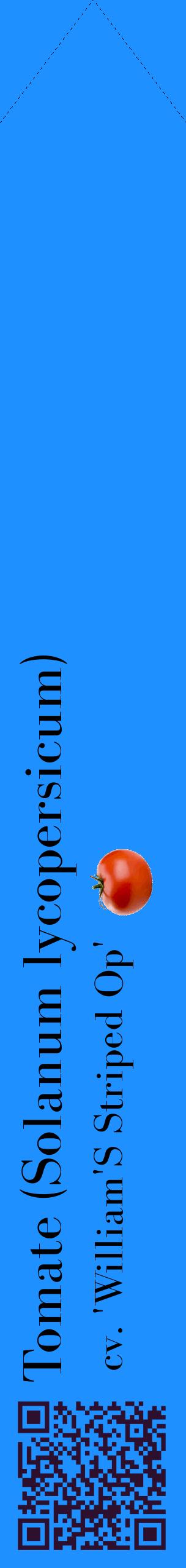 Étiquette de : Solanum lycopersicum cv. 'William'S Striped Op' - format c - style noire3_simplebod avec qrcode et comestibilité simplifiée