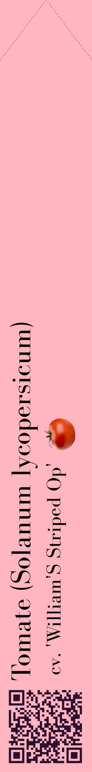 Étiquette de : Solanum lycopersicum cv. 'William'S Striped Op' - format c - style noire41_simplebod avec qrcode et comestibilité simplifiée