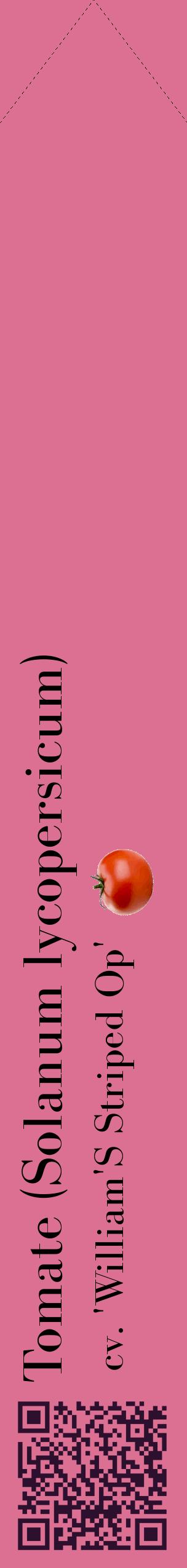Étiquette de : Solanum lycopersicum cv. 'William'S Striped Op' - format c - style noire44_simplebod avec qrcode et comestibilité simplifiée