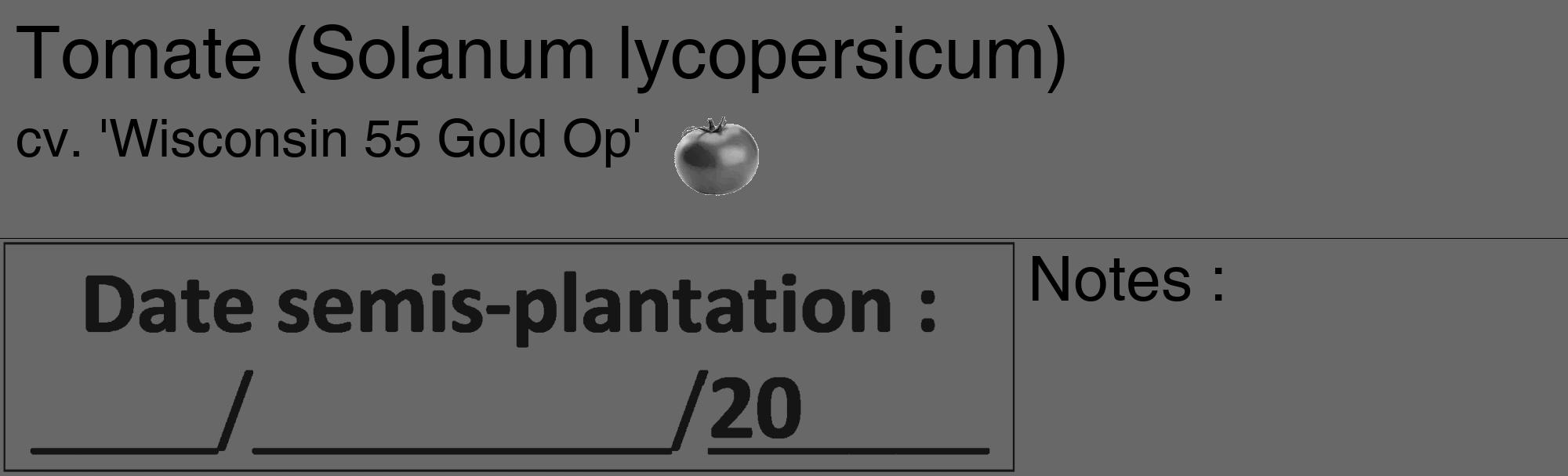 Étiquette de : Solanum lycopersicum cv. 'Wisconsin 55 Gold Op' - format c - style noire43_basique_basiquehel avec comestibilité simplifiée