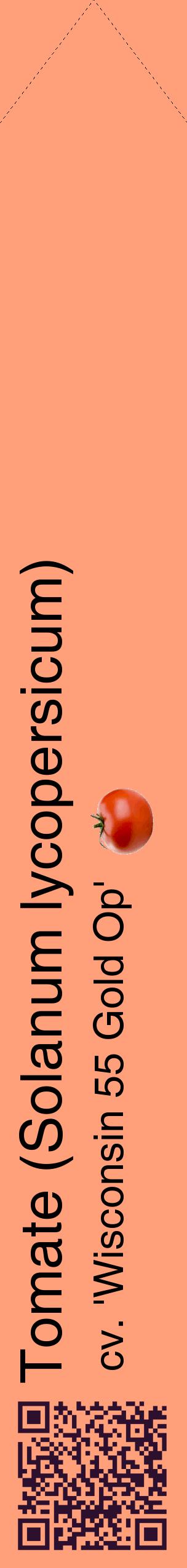 Étiquette de : Solanum lycopersicum cv. 'Wisconsin 55 Gold Op' - format c - style noire39_simplehel avec qrcode et comestibilité simplifiée