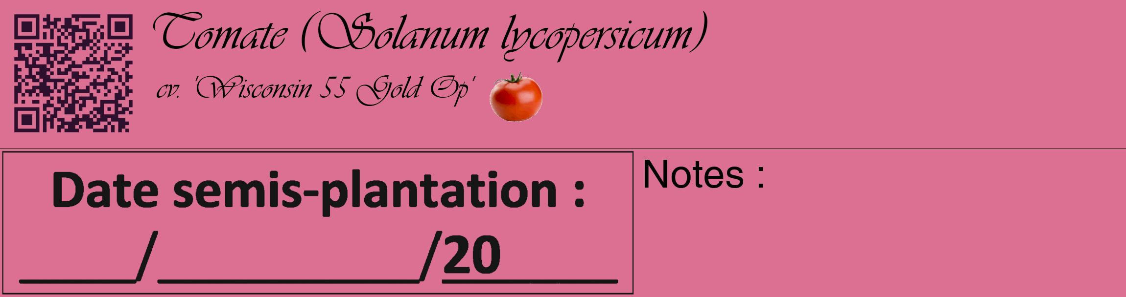 Étiquette de : Solanum lycopersicum cv. 'Wisconsin 55 Gold Op' - format c - style noire44_basique_basiqueviv avec qrcode et comestibilité simplifiée