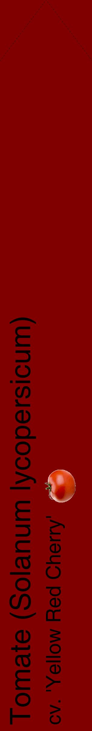 Étiquette de : Solanum lycopersicum cv. 'Yellow Red Cherry' - format c - style noire29_simplehel avec comestibilité simplifiée