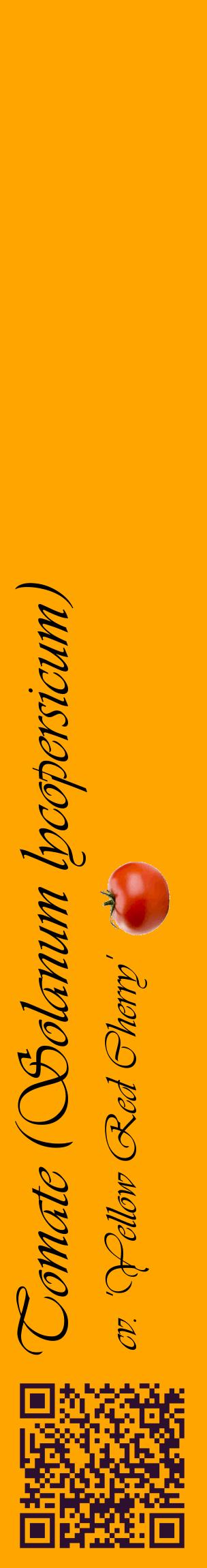 Étiquette de : Solanum lycopersicum cv. 'Yellow Red Cherry' - format c - style noire22_basiqueviv avec qrcode et comestibilité simplifiée