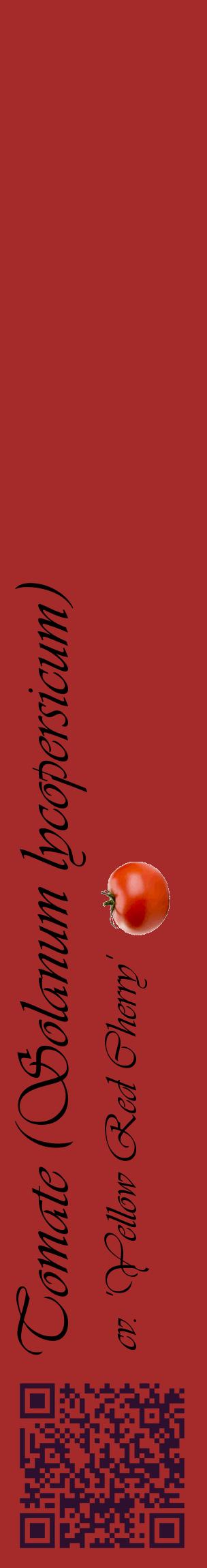 Étiquette de : Solanum lycopersicum cv. 'Yellow Red Cherry' - format c - style noire33_basiqueviv avec qrcode et comestibilité simplifiée