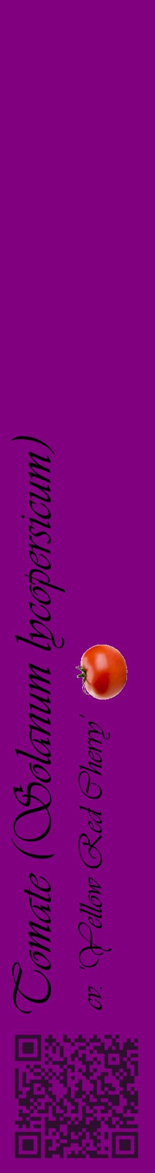 Étiquette de : Solanum lycopersicum cv. 'Yellow Red Cherry' - format c - style noire46_basiqueviv avec qrcode et comestibilité simplifiée