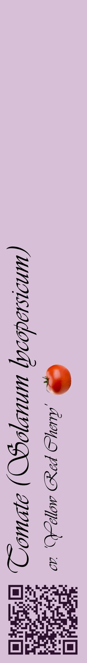 Étiquette de : Solanum lycopersicum cv. 'Yellow Red Cherry' - format c - style noire54_basiqueviv avec qrcode et comestibilité simplifiée