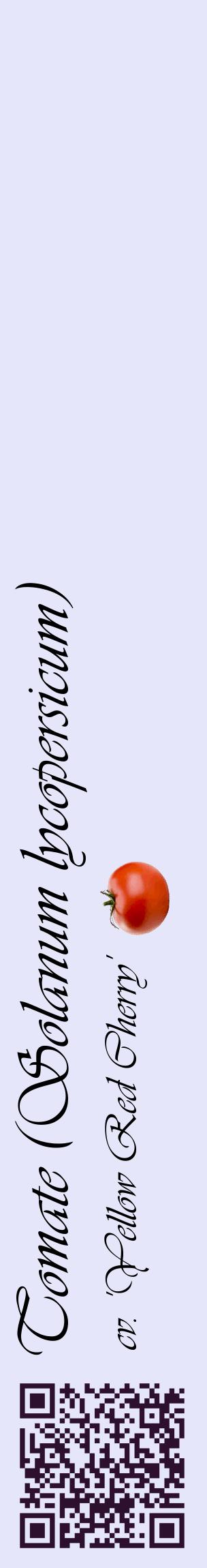 Étiquette de : Solanum lycopersicum cv. 'Yellow Red Cherry' - format c - style noire55_basiqueviv avec qrcode et comestibilité simplifiée