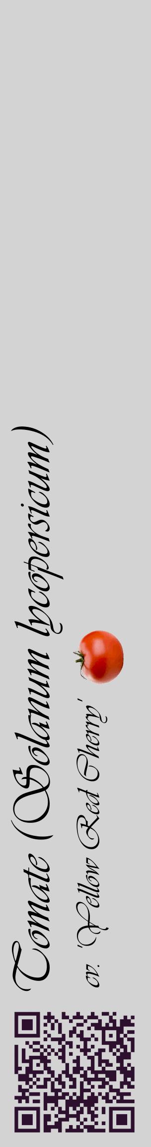 Étiquette de : Solanum lycopersicum cv. 'Yellow Red Cherry' - format c - style noire56_basiqueviv avec qrcode et comestibilité simplifiée