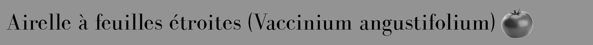 Étiquette de : Vaccinium angustifolium - format a - style noire44bod avec comestibilité simplifiée
