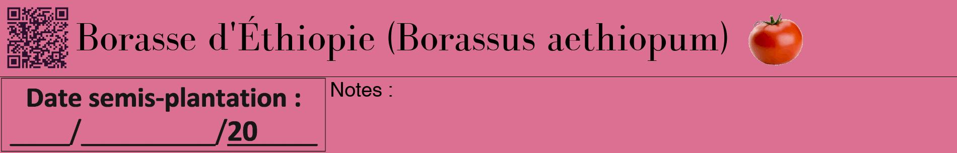 Étiquette de : Borassus aethiopum - format a - style noire44basiquebod avec qrcode et comestibilité simplifiée