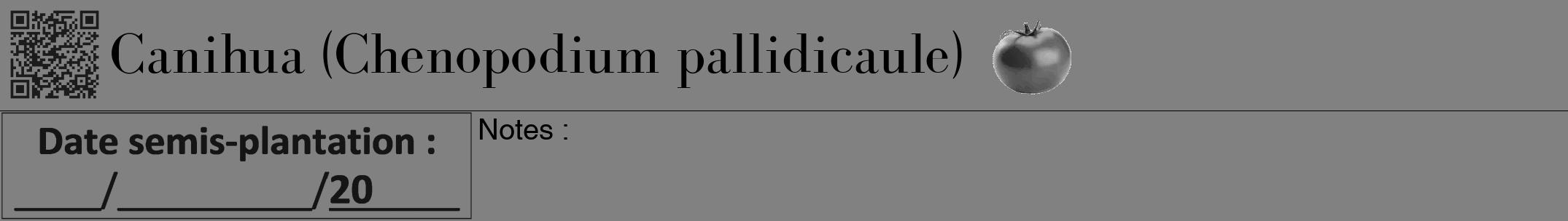 Étiquette de : Chenopodium pallidicaule - format a - style noire50bod avec qrcode et comestibilité simplifiée