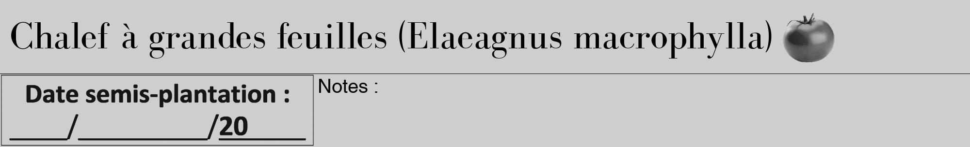 Étiquette de : Elaeagnus macrophylla - format a - style noire17bod avec comestibilité simplifiée