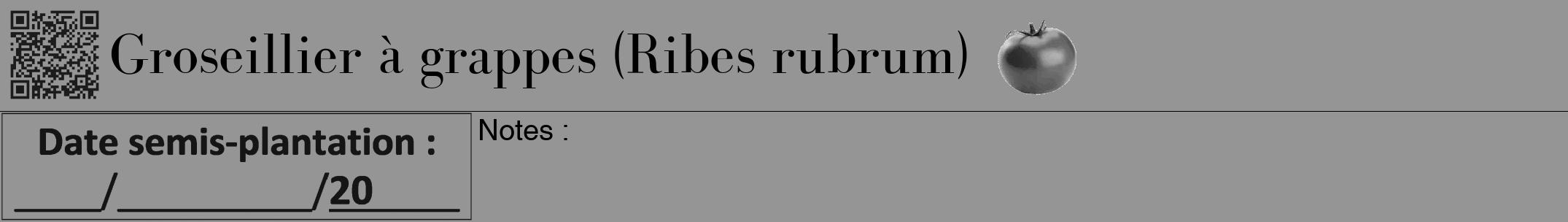 Étiquette de : Ribes rubrum - format a - style noire16bod avec qrcode et comestibilité simplifiée