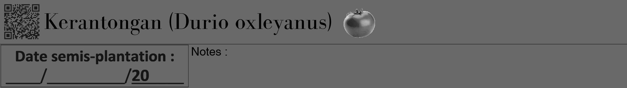 Étiquette de : Durio oxleyanus - format a - style noire51bod avec qrcode et comestibilité simplifiée