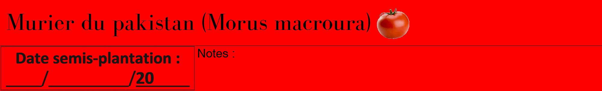 Étiquette de : Morus macroura - format a - style noire27bod avec comestibilité simplifiée